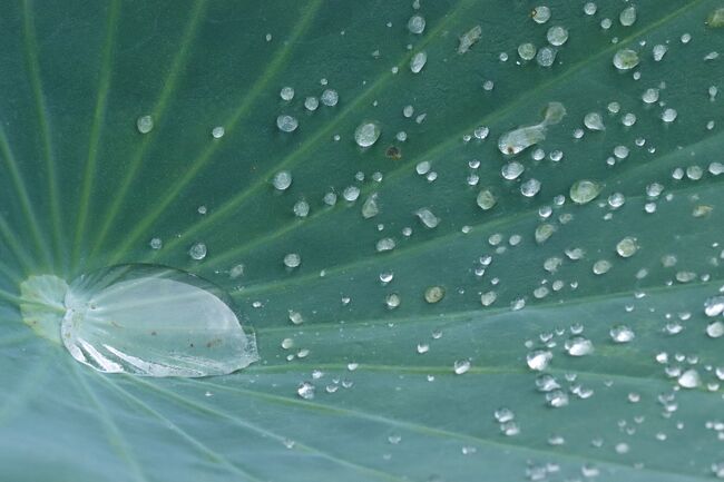 スワロフスキー♪