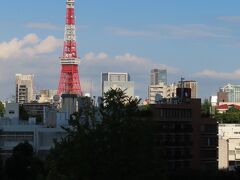 【毛利庭園】の木々と　
【東京タワー】