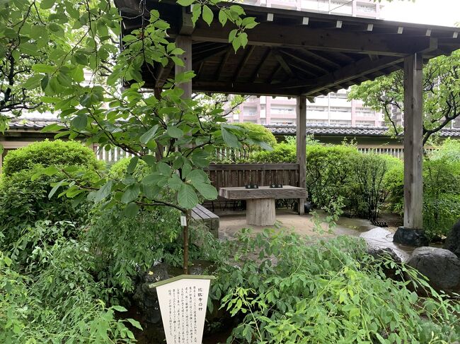 こちらには錦鯉もいました。<br />ここは手入れが行き届いているようです。