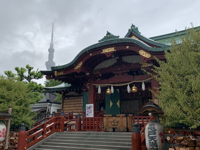 スカイツリーが見えます。