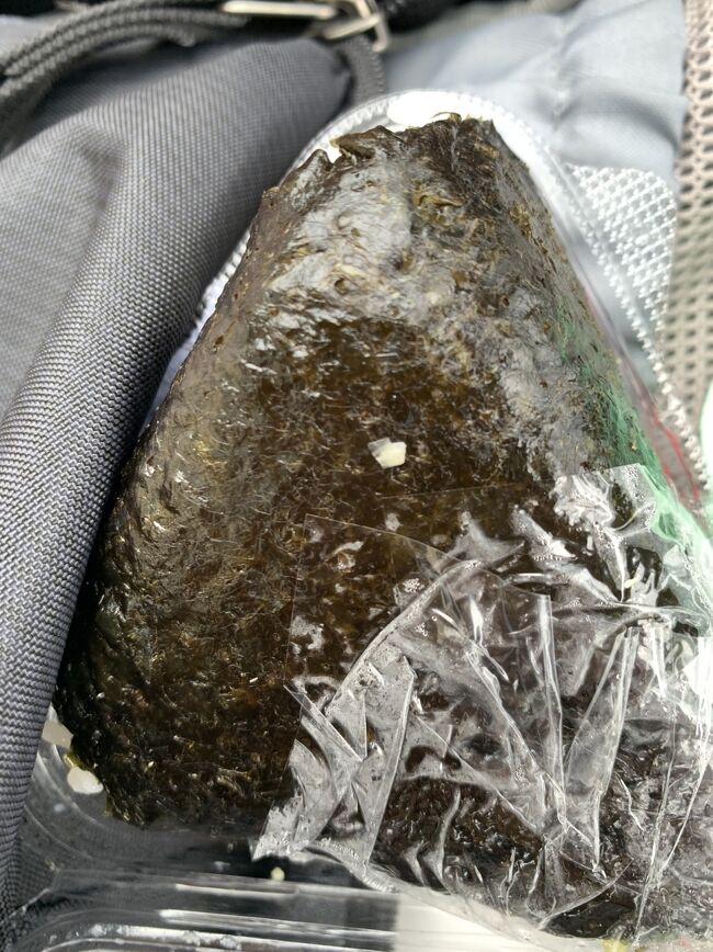 夏限定のわさびです。<br />具の多めも頼めますが、<br />かなり辛みがありました。<br />お米もおいしかったです。