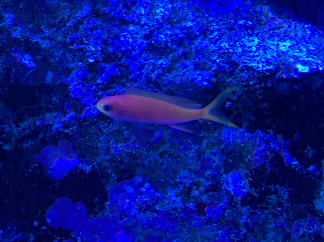 アクアパークです。