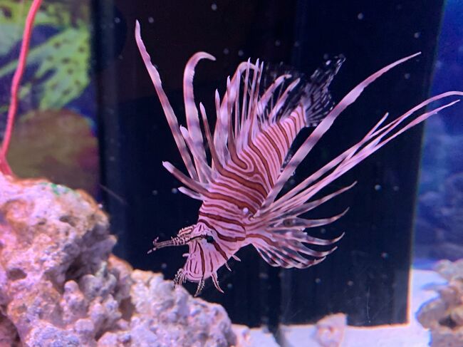 アクアパークです。