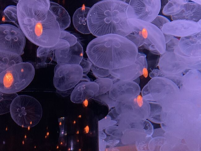 アクアパークです。