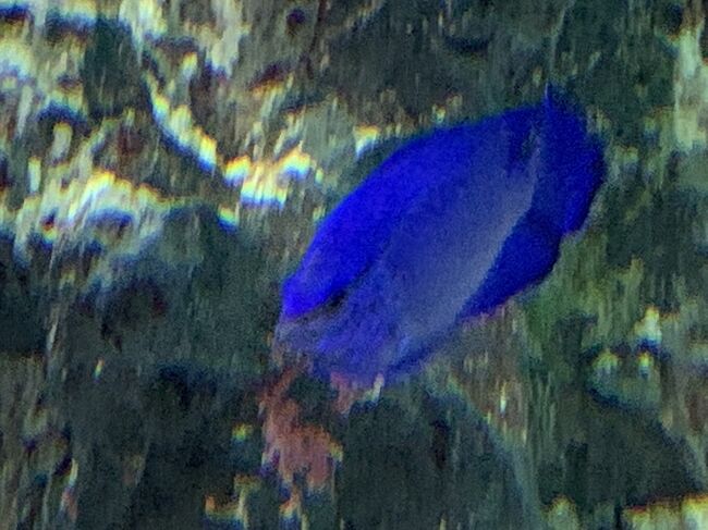 アクアパークです。