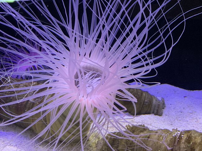 アクアパークです。