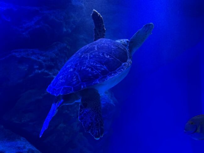 アクアパークです。