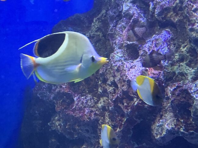 アクアパークです。