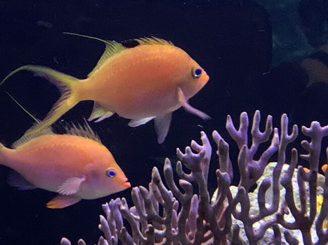 アクアパークです。