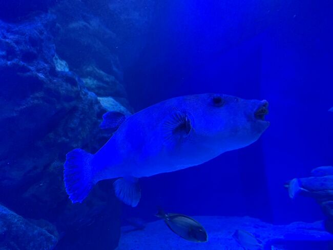 アクアパークです。