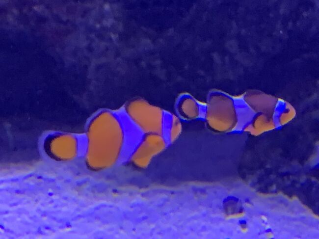 アクアパークです。