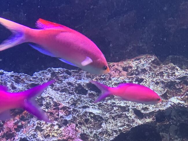 アクアパークです。