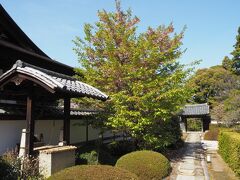 『そうだ、京都、行こう』の2022年春の「花咲く京都」キャンペーンの一環で、ここ雲龍寺では「花の間」というイベントが開催されています。

でも、とっても静かです。

