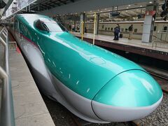 東京駅で新青森行きのはやぶさの切符を買おうとしたところ、全車指定席でなおかつ本日のダイヤは全て指定席完売とのこと！！「青森に行く人なんでそんなに多いの。いけないじゃん」と思いましたが、立席特急券というものがあるとのこと。いいでしょう、3時間半立っていきましょう・・・