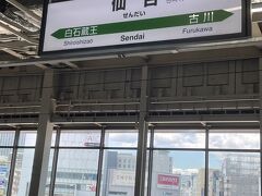 そんなこんなでやまびこで仙台駅到着です。はやぶさ様に乗るために郡山から来ました！はやぶさ様に乗るには東京、上野、大宮、仙台、盛岡など限られた駅からしか乗れませんので。いよいよ待ちに待ったはやぶさ様！逸る気持ちが抑えられません(≧∀≦)
マスクの下はニヤニヤしっぱなしです。ホント、コロナはイヤですし夏は暑くて苦しいんですけど、マスクってこういうとき便利です。ブツブツと独り言を言っていてもニヤニヤしていても、周りに気づかれにくいのですのでね。歳をとると独り言多くなりますから助かります。