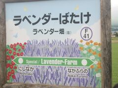 で、あっという間にラベンダー畑駅にとうちゃこ。
勿論、FBNでは停車しますので、駅名標も綺麗に撮れます( ´∀｀ )。