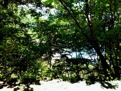 国道をかっ飛ばし過ぎて。

精進湖畔では無くて既に湖の西側に来ちゃってた。
木々の間から水面がみえて、お！あれって普段は無い「赤池」じゃない？？？とか、勝手にテンションを上げたのですが。

ものの見事に精進湖でした（笑）

そんな訳で精進湖は一瞬だけ見て。