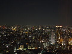 う～ん、お盆休み中だし、日曜日の夜という事もあり、大半のオフィス自体が閉まってるからか、驚くほど夜景がキレイ!という感じでは無かったかな…。