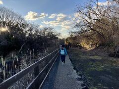 ヨガの後は7時スタートでバスに乗り、城ヶ崎自然研究路のハイキングへ。
