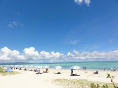 レンタルパラソルが立ち並んで、海水浴を楽しむ人でにぎわっています。