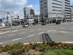 高知の路面電車は十時型の路線になってます。
東西方向と南北方向の運転が基本。
両者が交差するのが、はりまや橋。
そのはりまや橋で高知駅方向の電車に乗り換え。
東京の大手町の乗り換えのようなストレスも体力も必要ありません。迷子になる不安もありません。その代わり、強い日差しにさらされます。

ところで、ここの幾何学的な線路の配置こそ名物にすべきです。
鉄道ファンでない人も決してがっかりしないはず。