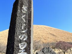 続いて大室山の麓にあるさくらの里。
