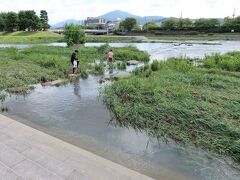 途中、水飲み休憩やら、挫けそうになりながらも鴨川デルタへ。増水の影響あり。後ほど、向こう側から、、、と考えたが、すっかり行かず仕舞い。あんなに憧れてたのに！