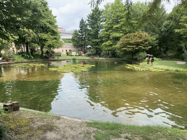 公園には池、人工的な川も。