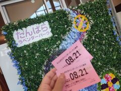 チケットは東急の株主優待券を使い、大人一人1000円のところ300円になりました。