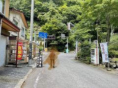 剣山観光リフト乗り場付近のお土産やさん。軽食もできそうです。