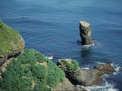 岬の向こうの岩には海鳥の巣、岩が糞で白く。