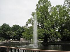 武蔵一宮氷川神社の隣に、大宮公園があります。

緑豊かな公園で、様々な名所があって楽しめる公園です。
まずは大きな噴水があります。通常噴水というと弧を描くような放物線を想像しますが、こちらの噴水は力強く真上に噴出していて、どこかの間欠泉のような感じです。