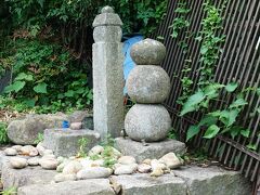 これがそのようですね。