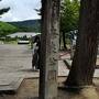 奈良公園と華厳宗大本山東大寺周辺を散策