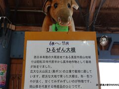 道の駅 風の家