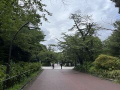 ランチ後少し公園内を散歩。不忍池のハスを見に行ったのですが、残念ながら終わってました。遅すぎた…。