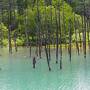 家族で北海道旅行2022夏〈３〉青い池と洞爺サンパレス リゾート＆スパ