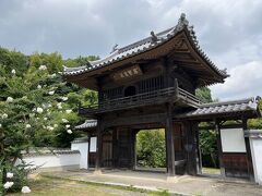 着きました。
早足で10分ちょい。