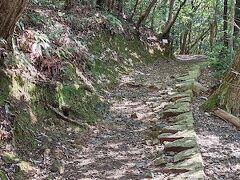 吉香公園前のロープウェイは山麓駅から、標高約200メートルの城山の尾根の山頂駅までを約3分で到着です。
ロープウェアを降りて、天守までは、なだらかな道と山道の2種類でアクセスできましすが、行きは山道を通ていきました。