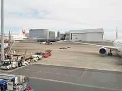 たぶん北九州空港へ向かうスターフライヤー