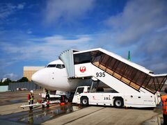 2タミからの導線が変わってちょっとだけ良くなった成田空港第3ターミナルからのSPRING JAPAN。

日本航空が大株主で日本航空グループなので、整備諸々安心の鶴丸様。