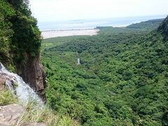 ピナイサーラの滝の上まで来ました。
西表島の幹線道路から見えるほど、高さのある滝です。