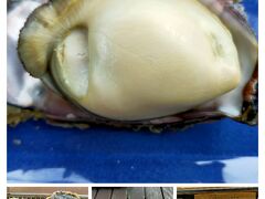 午後、能登島のゲストハウスで知り合った方に教えてもらった岩牡蠣を食べに穴水町に行きました。