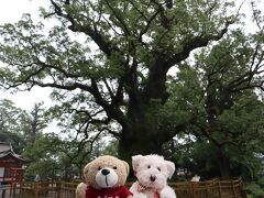 蒲生の大クスのところまで移動しました。
神社の駐車場がありましたので、そちらに駐車させてもらいました。
