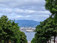 八幡坂から函館港を望みます
正面には津軽海峡フェリー
