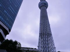 曇り空のスカイツリー。