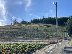 赤い花で「なかふらの」って書いてあった。
リフトがあったので冬はスキー場になるのかな。
想像つかんけど。


