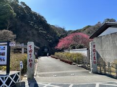 江戸時代、下田は海上交通の要衝だった。
日本海側は沿岸沿いに港を立ち寄りながら航海するが、太平洋側は天龍川の水流が激しいので、沿岸沿いには航海出来ず、伊勢湾から伊豆半島まで沖合を遠乗りするのが一般的だった。
下田は幕府直轄の地で下田奉行が置かれ、上方から江戸に入津する船舶を厳重に検査した。