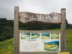 雲が垂れ込めていますがまだ雨は落ちていない大山千枚田に到着。
他には観光客はいません。
