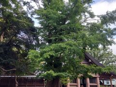 次が、本日のメイン、
三大金運神社の一つという「安房神社」　

姉は、ここ3か月で、石川県の金剱宮（きんけんぐう）、山梨県の新屋山神社（あらややまじんじゃ）、今日の千葉県の安房神社（あわじんじゃ）と三大金運神社を廻ったそうだ。　なんと金沢まで行って日帰りだったらしい。　お金あるってことだよね。やっぱり。